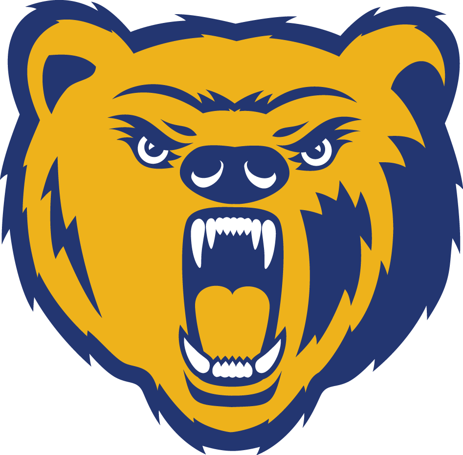 Northern Colorado Bears 2010-2014 Primary Logo diy iron on heat transfer